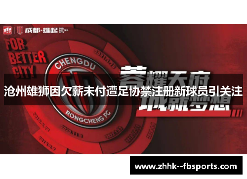 沧州雄狮因欠薪未付遭足协禁注册新球员引关注 沧州雄狮因欠薪未付遭足协禁注册新球员引关注