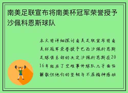 南美足联宣布将南美杯冠军荣誉授予沙佩科恩斯球队 南美足联宣布将南美杯冠军荣誉授予沙佩科恩斯球队